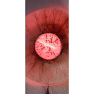 MATERIA DELICADA
