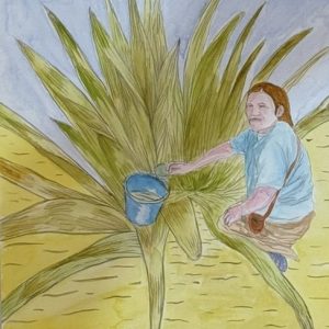 ACUARELAS SOBRE EL CHEGUAR Y LA COMUNIDAD WICHI