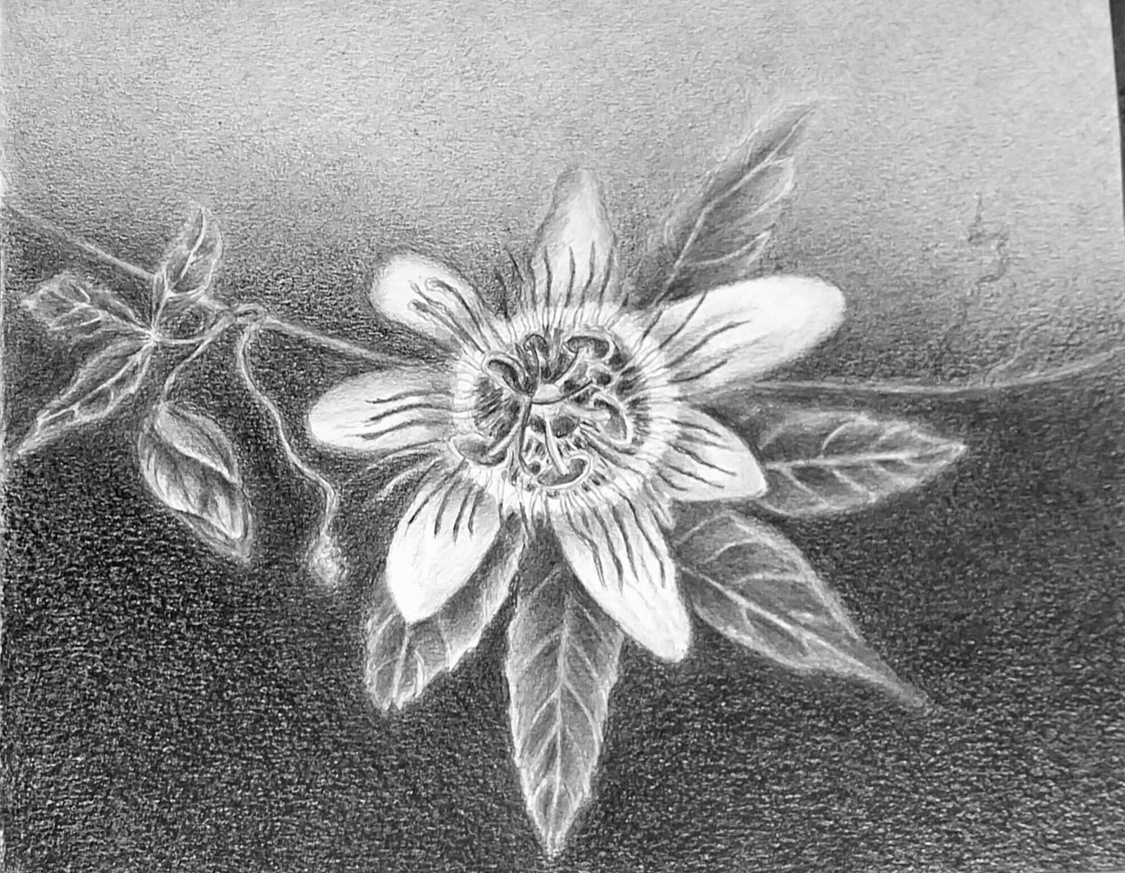 WhatsApp Image 2025-09-17 at 11.54.22 AM (2)