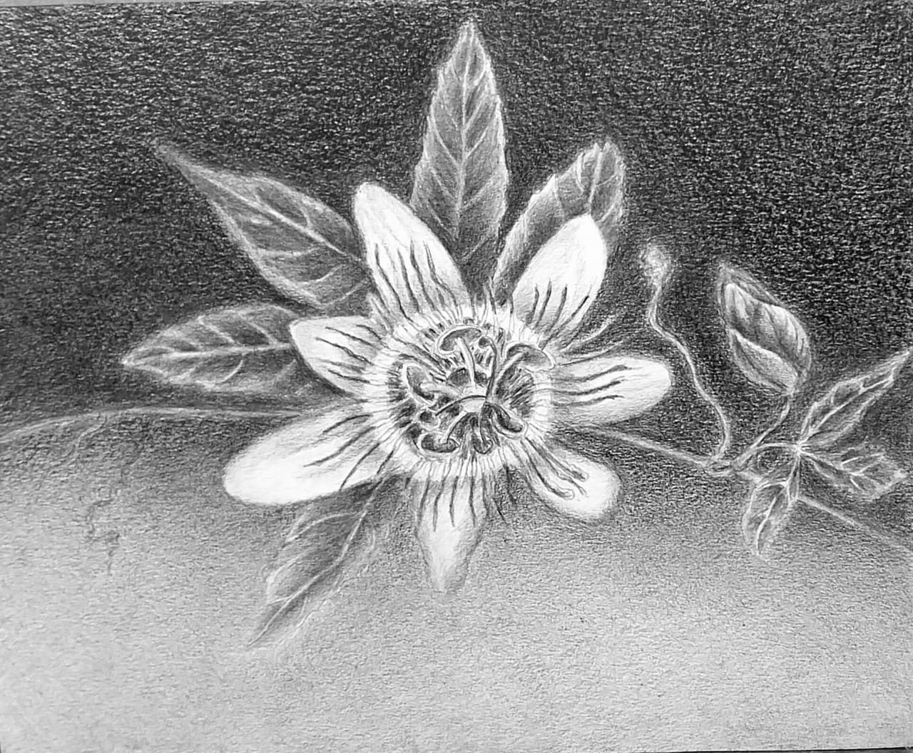 WhatsApp Image 2025-09-17 at 11.54.22 AM (3)