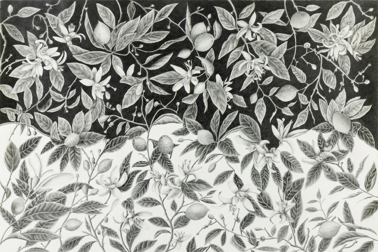 WhatsApp Image 2025-10-13 at 3.31.55 PM